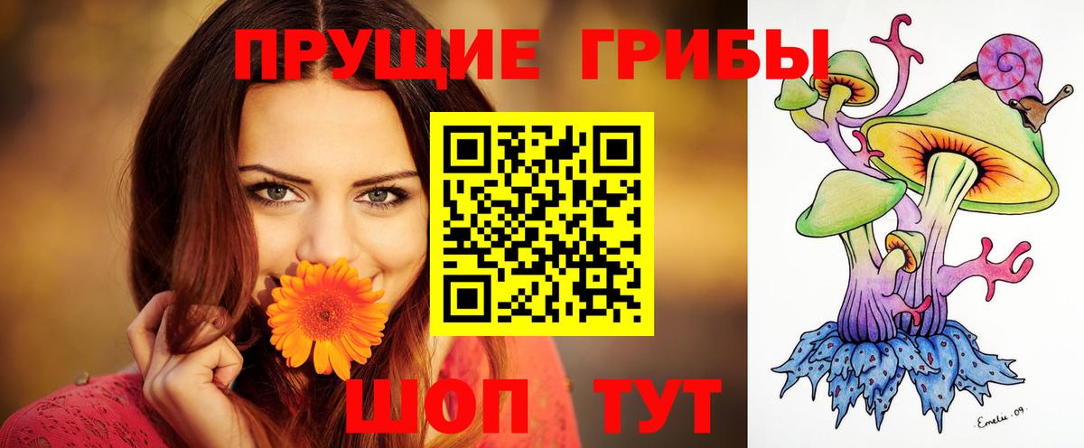 Псилоцибиновые грибы мухоморы  Псилоцибиновые грибы мухоморы  Вход с VPN  Волгодонск 