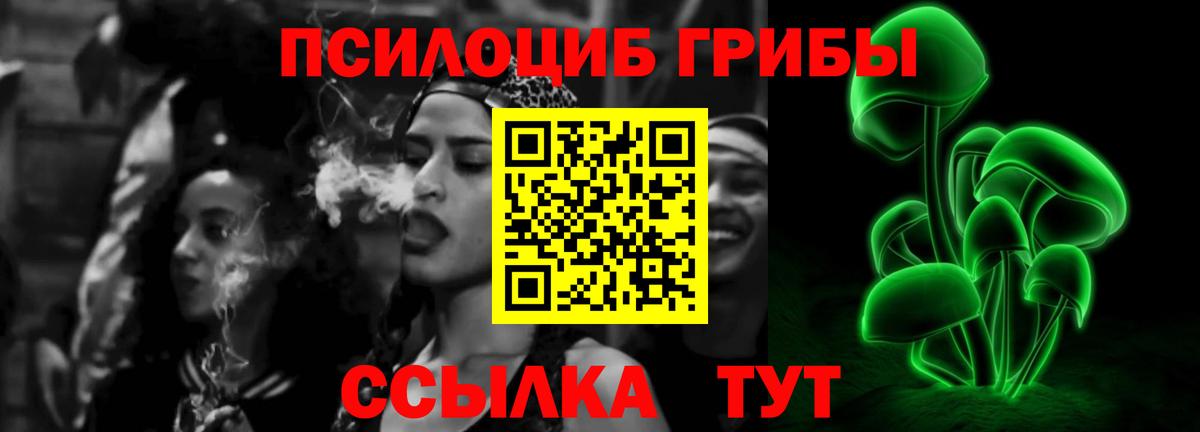 Псилоцибиновые грибы Cubensis Волгодонск
